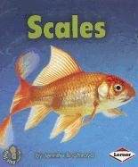 Scales (First Step Nonfiction)