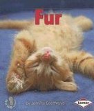 Fur (First Step Nonfiction (Paperback))