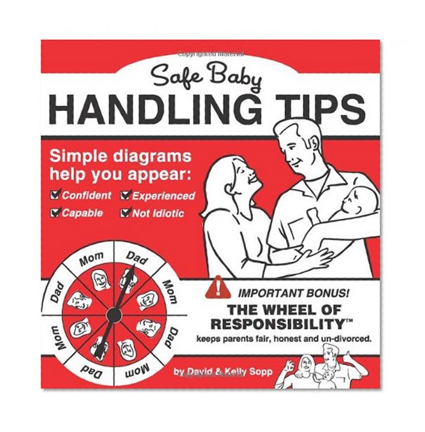 Book Cover Safe Baby Handling Tips
