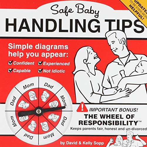 Book Cover Safe Baby Handling Tips