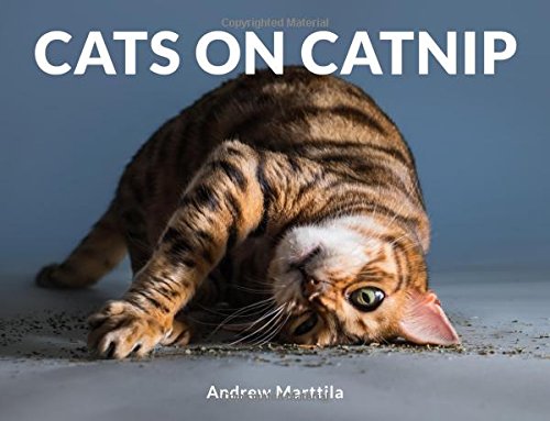 Book Cover Cats on Catnip