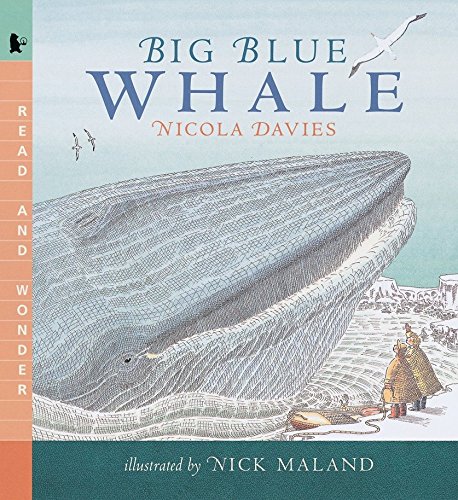 Book Cover Big Blue Whale: Read and Wonder