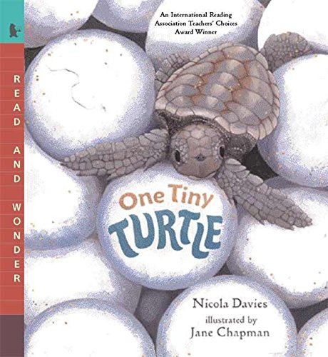 Book Cover One Tiny Turtle: Read and Wonder