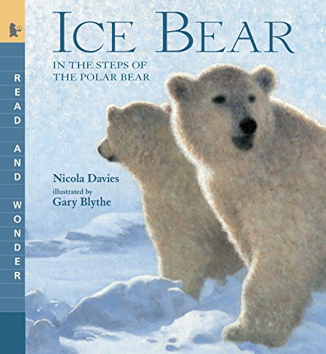 Book Cover Ice Bear: Read and Wonder: In the Steps of the Polar Bear