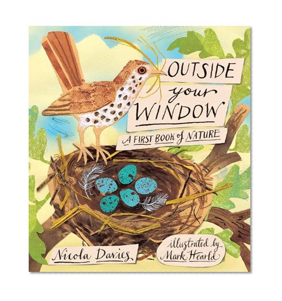 Book Cover Outside Your Window: A First Book of Nature