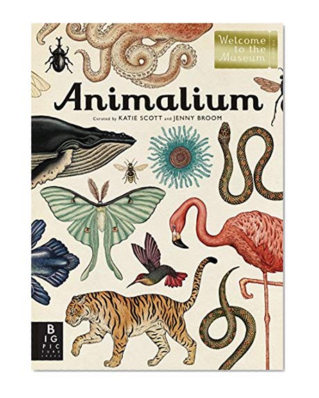 Book Cover Animalium: Welcome to the Museum