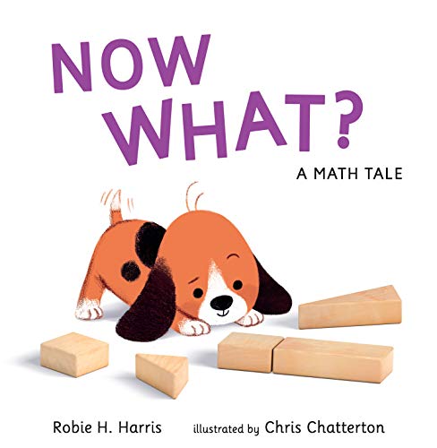 Book Cover Now What? A Math Tale