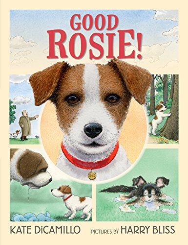 Book Cover Good Rosie!