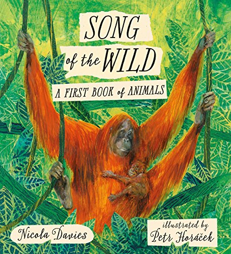 Book Cover Song of the Wild: A First Book of Animals