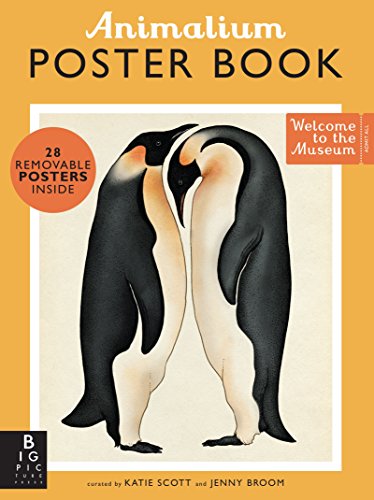 Book Cover Animalium Poster Book