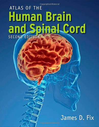 Atlas Of The Human Brain And Spinal Cord