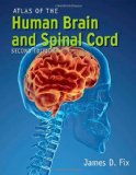 Atlas Of The Human Brain And Spinal Cord