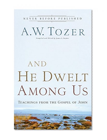 Book Cover And He Dwelt Among Us: Teachings from the Gospel of John