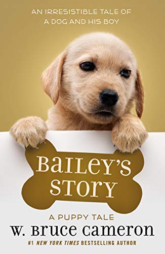 Book Cover Bailey's Story: A Puppy Tale