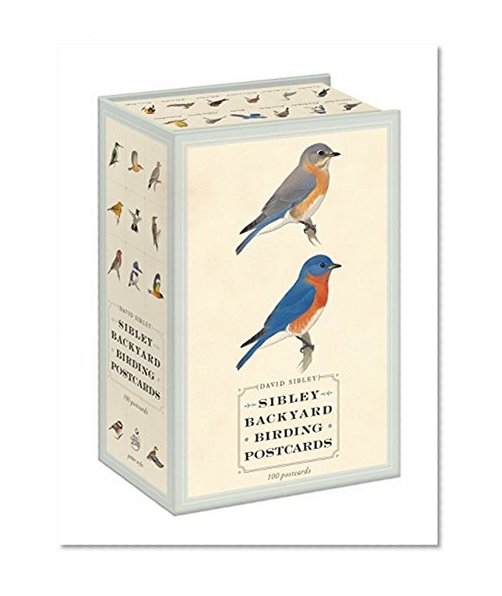 Book Cover Sibley Backyard Birding Postcards: 100 Postcards