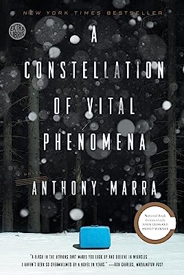 Book Cover A Constellation of Vital Phenomena: A Novel