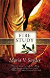 Fire Study (Study, Book 3)