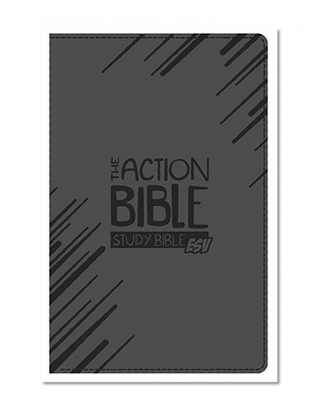 Book Cover The Action Bible Study Bible ESV (Gray)