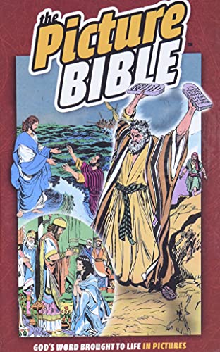 Book Cover The Picture Bible