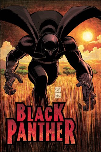 Black Panther: Who Is The Black Panther HC