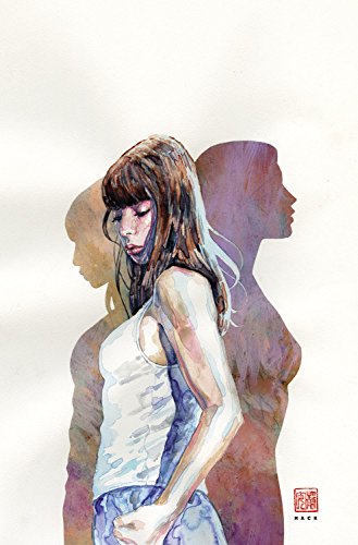 Book Cover Jessica Jones: Alias Vol. 1 (AKA Jessica Jones)