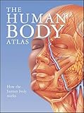 The Human Body Atlas: How the Human Body Works