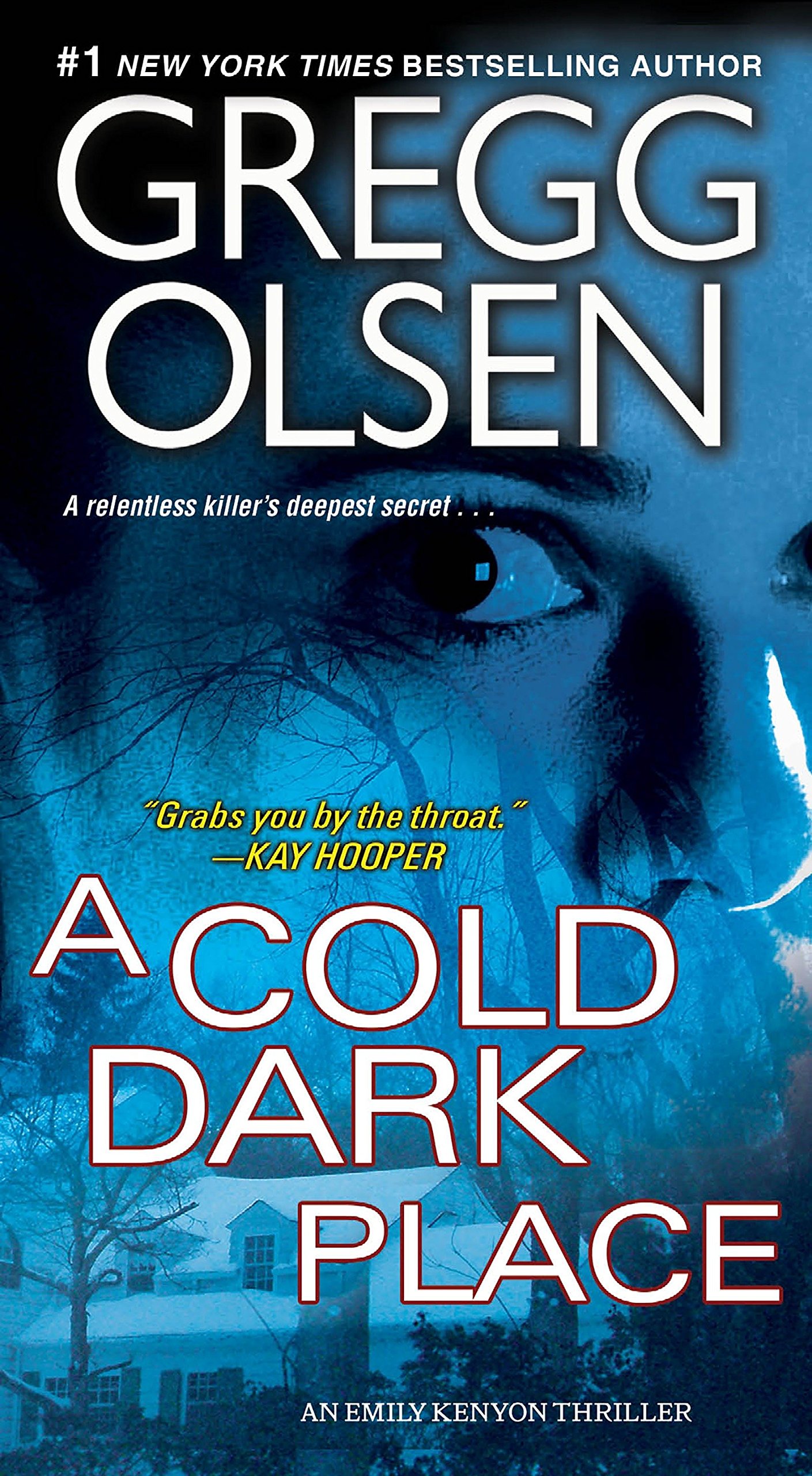 Book Cover A Cold Dark Place (An Emily Kenyon Thriller)
