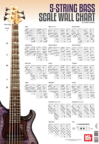 Book Cover 5-String Bass Scale Wall Chart