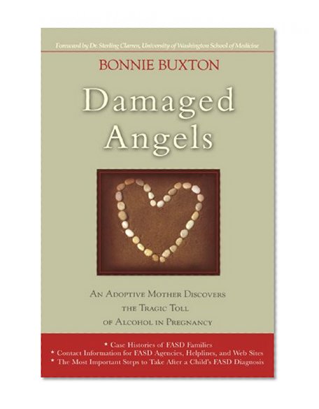 Book Cover Damaged Angels: An Adoptive Mothers Struggle to Understand the Tragic Toll of Alcohol in Pregnancy