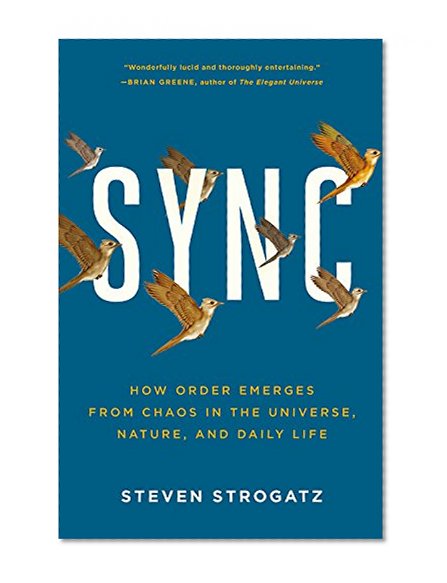 Book Cover Sync: How Order Emerges From Chaos In the Universe, Nature, and Daily Life