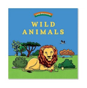 Wild Animals (Little Discoveries)