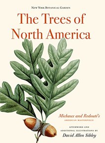 The Trees of North America (Michaux and Redoute's American Masterpiece)