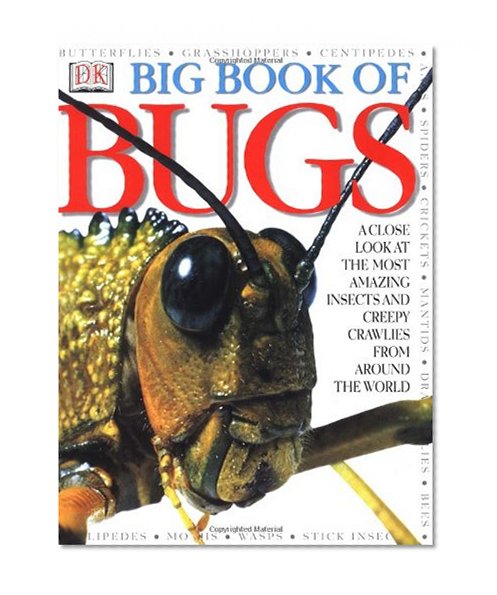 Book Cover Big Book of Bugs