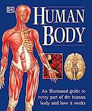 Book Cover Human Body: An Illustrated Guide to Every Part of the Human Body and How It Works