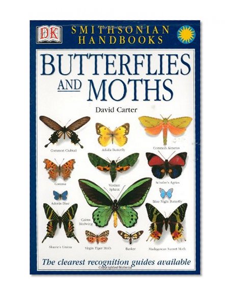 Book Cover Smithsonian Handbooks: Butterflies & Moths