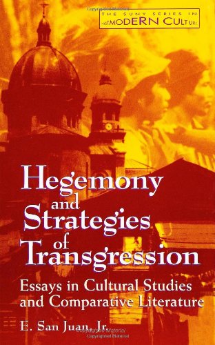 Hegemony and Strategies of Transgression: Essays in Cultural Studies & Comparative Literatur (Suny Series, Postmodern Culture)