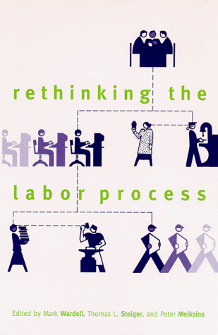 Rethinking the Labor Process (Suny Series the New Inequalities (Paperback))