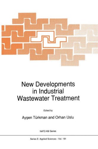 New Developments in Industrial Wastewater Treatment (Nato Science Series E: (closed))