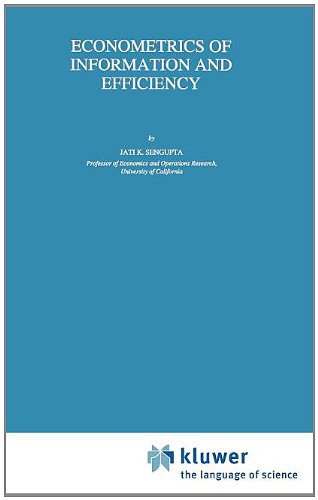 Econometrics of Information and Efficiency (Theory and Decision Library B)