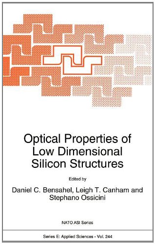 Optical Properties of Low Dimensional Silicon Structures (Nato Science Series E: (closed))