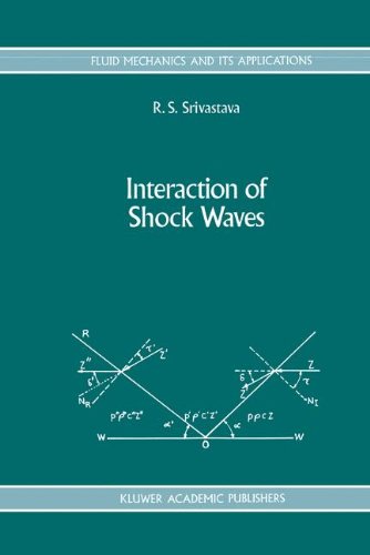 Interaction of Shock Waves (Fluid Mechanics and Its Applications)