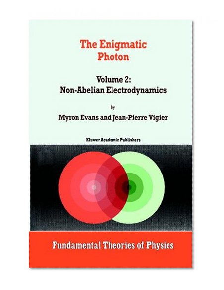 The Enigmatic Photon - Volume 2: Non-Abelian Electrodynamics (FUNDAMENTAL THEORIES OF PHYSICS Volume 68)