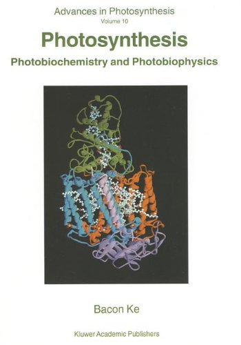 Photosynthesis: Photobiochemistry and Photobiophysics (Advances in Photosynthesis and Respiration)