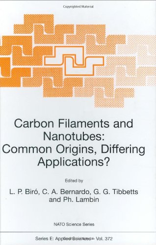 Carbon Filaments and Nanotubes: Common Origins, Differing Applications? (NATO Science Series E: Applied Sciences, Volume 372)