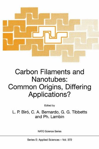 Carbon Filaments and Nanotubes: Common Origins, Differing Applications? (Nato Science Series E: (closed))