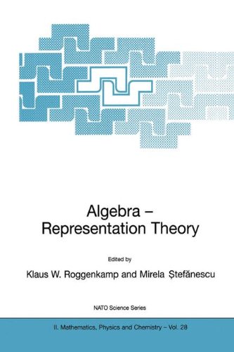 Algebra - Representation Theory (Nato Science Series II:)