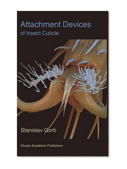 Attachment Devices of Insect Cuticle