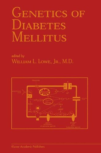 Genetics of Diabetes Mellitus (Endocrine Updates)