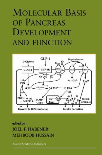 Molecular Basis of Pancreas Development and Function (Endocrine Updates, Volume 11)