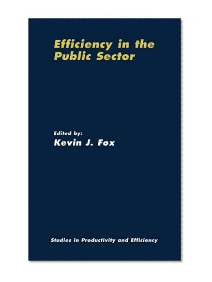 Efficiency in the Public Sector (Studies in Productivity and Efficiency)
